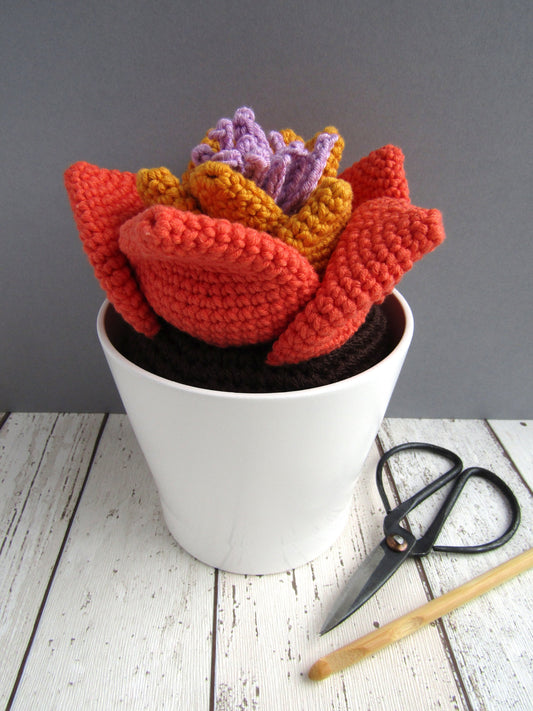 Crocheted succulent plant with pot