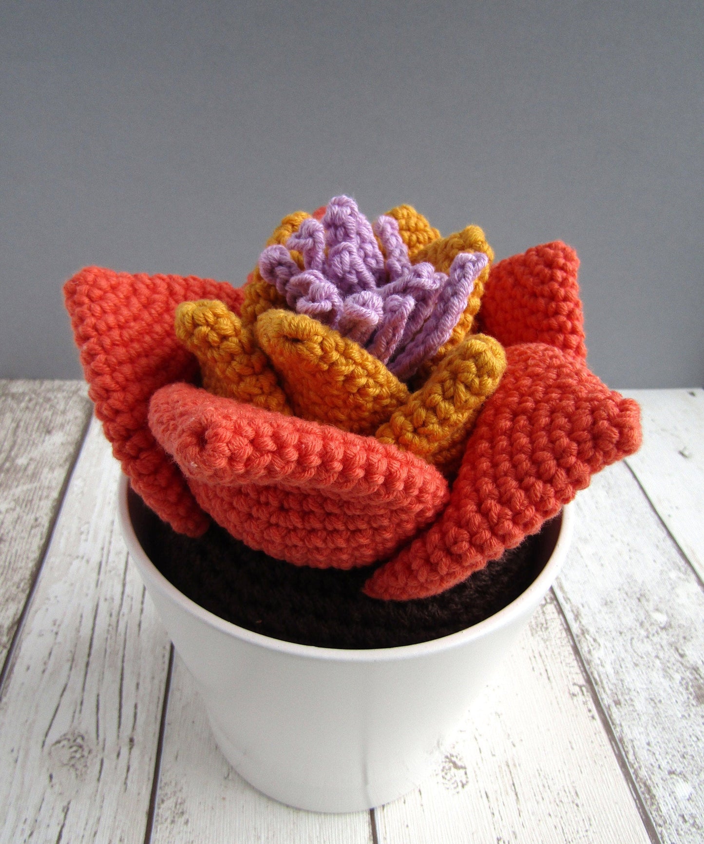 Crocheted succulent plant with pot
