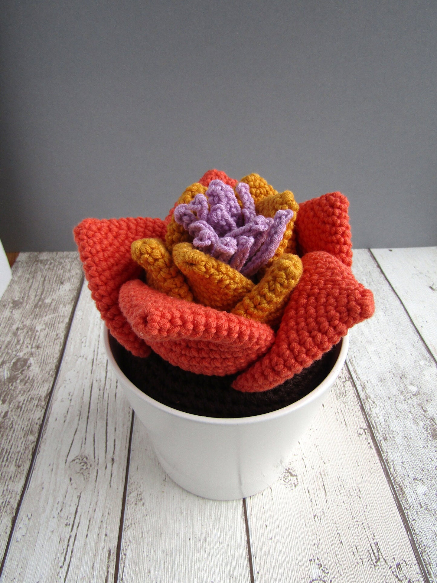 Crocheted succulent plant with pot