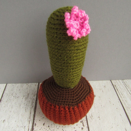Cactus with flower amigurumi